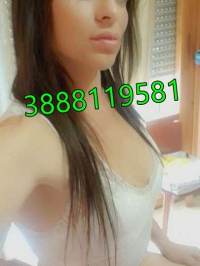 TRANS trans Modena