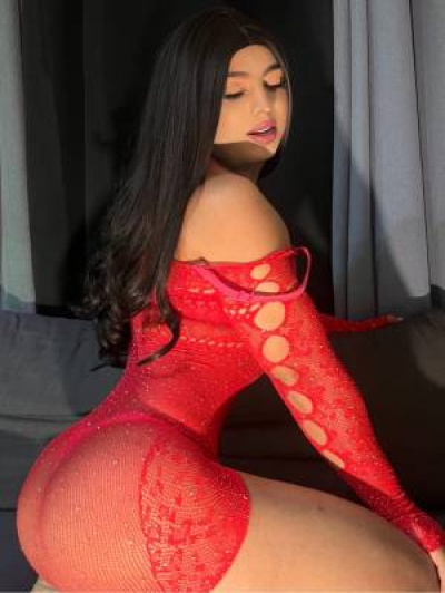 Nicolett trans Padova