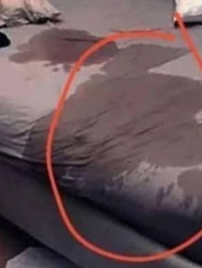 Alfred uomini Salerno