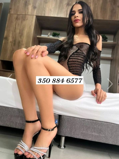 Neire trans Bologna