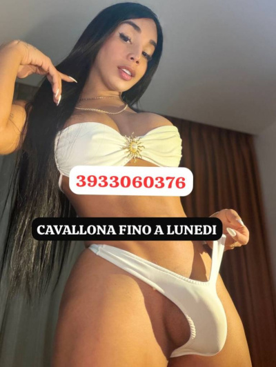 FIESTERA XL trans Venezia