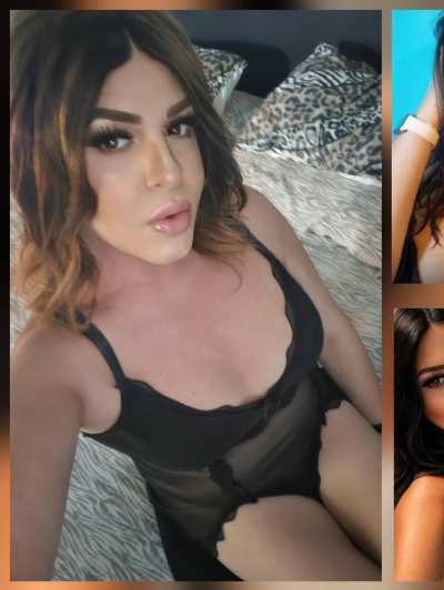 Gloria trans Rimini