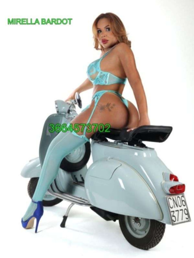 new new trans Torino