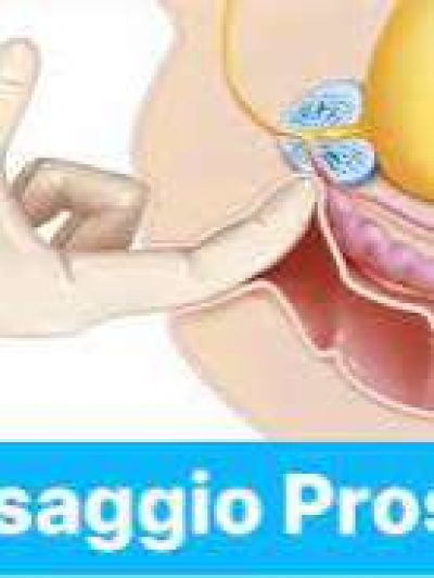 Anna massaggi Torino