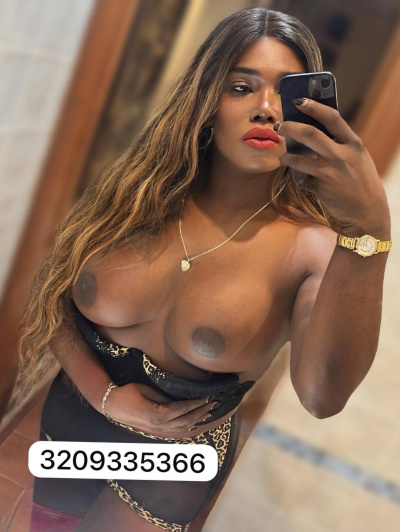 PALOMA TRANS trans Salerno